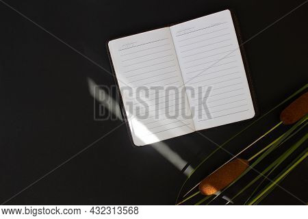 Blank Notebook And Cattail Branch On Black Background, Top View, Flat Lay, Place For Text