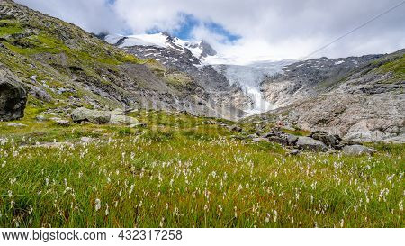 Mountain Landscape With Cottongrass Meadow And Schlatenkees Glacier On Background. Hohe Zaun In Vene