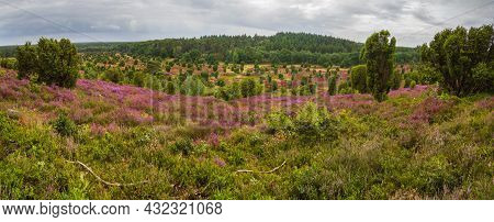 Wide View To The Totengrund, A Vale In The Center Of The Lueneburg Heath, Near Bispingen, Northern G
