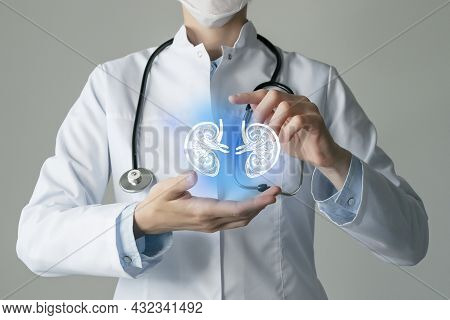 Kidney Issues Medical Concept. Photo Of Female Doctor, Empty Space.