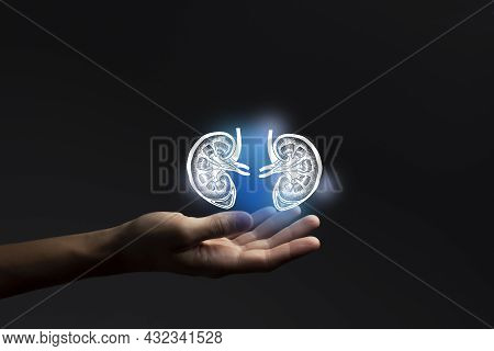 Nephrologist Doctor, Kidneys Issues. Medical Technologies Concept. Nephrology.