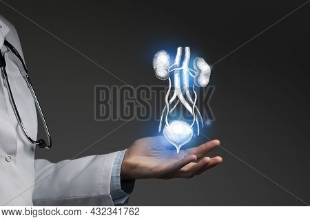 Renal System Issues Medical Concept. Photo Of Female Doctor, Empty Space.