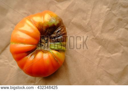 The Fruit Of A Red Tomato That Has Fallen Ill With Phytophthora Infestans. Tomatoes Got Sick With La