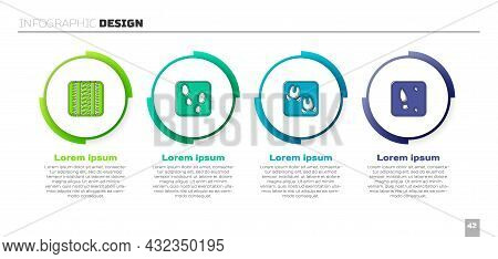 Set Tire Track, Human Footprints Shoes, Wild Boar Paw And . Business Infographic Template. Vector