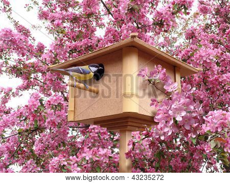 Rózsaszín virágzó kert birdhouse