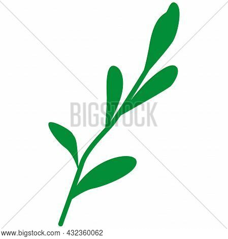 Hand Drawn Abstract Green Branch With Leaves Isolated. Floral Element. Cartoon Style. Summer, Spring
