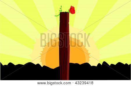 Schüsse im Morgengrauen