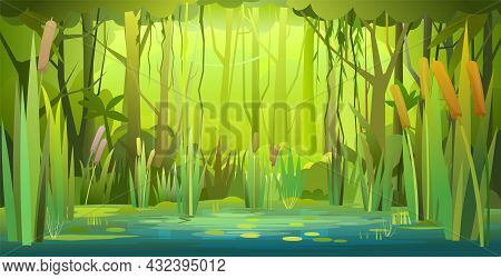 Green Summer Forest Landscape. Swampy Coast With Cattails And Reed. Flat Style. Leaves Of Water Lili