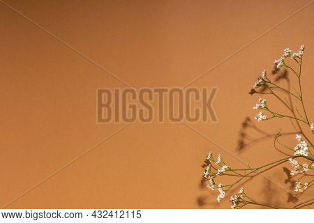 Little White Flower, Detail Of A Gipsofila Flower On Brown Background With Copy Space For Your Desig