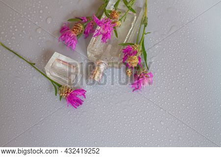 A Bottle Of Perfume Or Herbal Oil From Violet, Magenta, Crimson, Lilac, Burgundy, Scarlet Colors On 