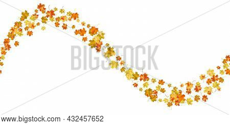 Seamless Pattern Bright Colorful Maple Autumn Foliage Isolated On White Background. Graphic Design A