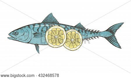 Sea Fish Mackerel With Lemon On A White Background