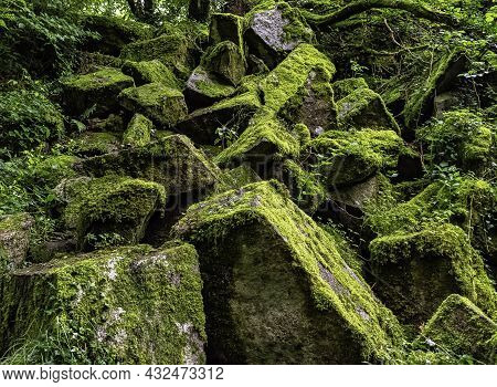 Kennall Vale Nature Reserve, Ponsanooth, Cornwall, United Kingdom