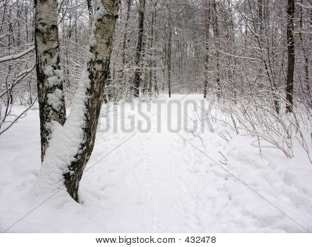 Winter Trope