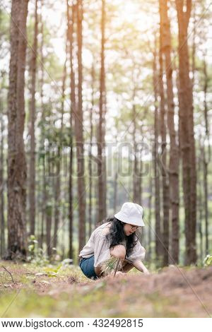 Winter Travel Relax Vacation,portrait Asian Female Tourist In White Dress With Hat Stands In Pinewoo