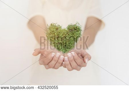 Close Up Heart Made Greenary. High Quality Beautiful Photo Concept