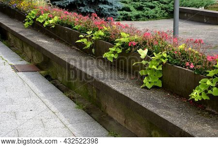 On The Edge Of The Elevated Terrace Overlooking The Park Is A Concrete Long Flowerpot With A Concret