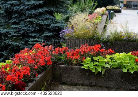 On The Edge Of The Elevated Terrace Overlooking The Park Is A Concrete Long Flowerpot With A Concret