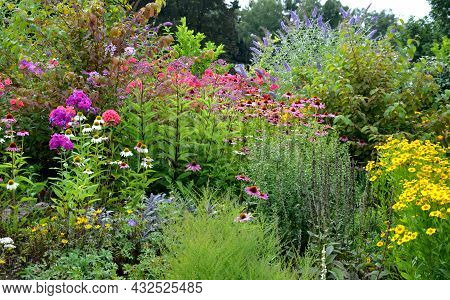 Colorful Perennial Beds With Flowering Shrubs. It Is A Mixture For Bees. The Park Arrangement Of A W