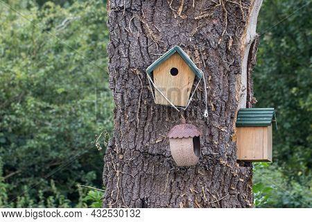 Bird Nesting Boxes On A Tree Trunk. Handmade Wooden Bird Box Selection On An Old Garden Tree.