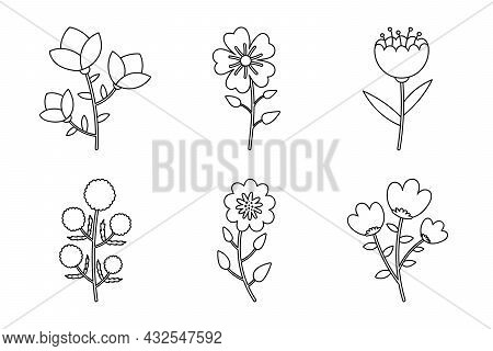Line Art Design Element Flower Collection. Set Six Elements