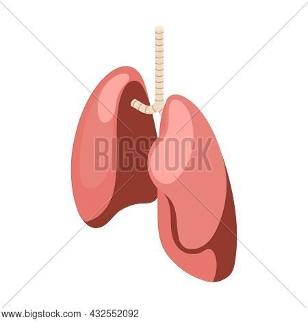 Isometric Healthy Human Lungs Icon 3d Vector Illustration