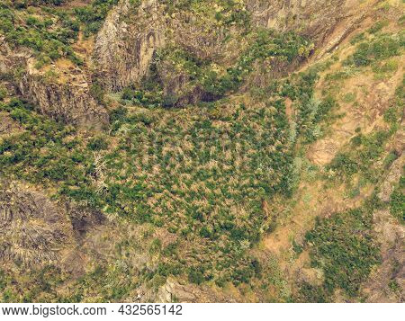 Top View Of Scarce Vegetations Growing On Harsh Volcanic Environment.