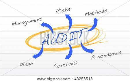 Könyvvizsgálati Diagram
