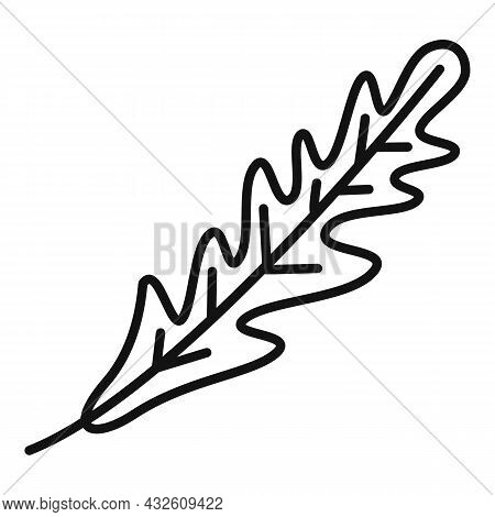 Ruccola Salad Icon Outline Vector. Arugula Leaf. Vegetable Plant