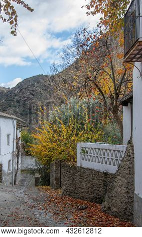 Street Of A Town In Taha With Yellow Autumn Leaves On The Ground, A Persimmon Tree And Mountains