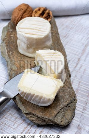 Cheese Collection, Soft Goat French Cheese With Mold Crottin De Chavignol Produced In Loire Valley