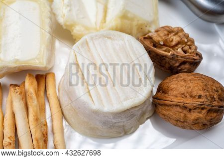 Cheese Collection, Soft Goat French Cheese With Mold Crottin De Chavignol Produced In Loire Valley