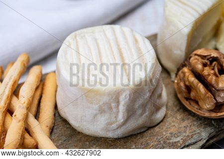Cheese Collection, Soft Goat French Cheese With Mold Crottin De Chavignol Produced In Loire Valley