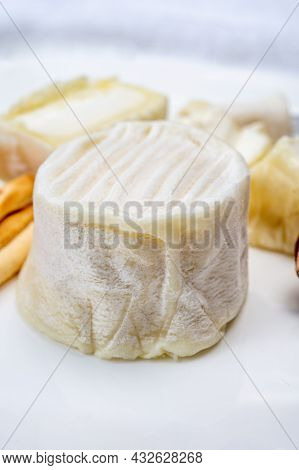 Cheese Collection, Soft Goat French Cheese With Mold Crottin De Chavignol Produced In Loire Valley