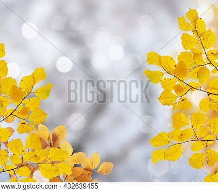Falling Yellow Leaves On Autumn Garden, Bokeh Background With Sun Beams And Lights On Graybackground