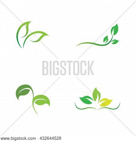 Logos Of Green Leaf Ecology Nature Element Vector