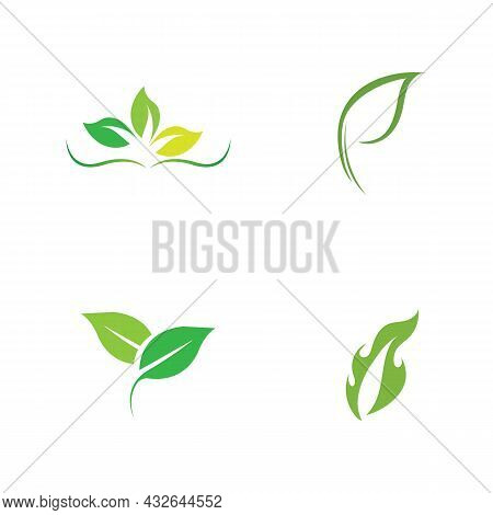 Logos Of Green Leaf Ecology Nature Element Vector