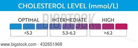 Cholesterol Level Meter Indicator. Medical Speedometer. Chat Control Concept Presentation