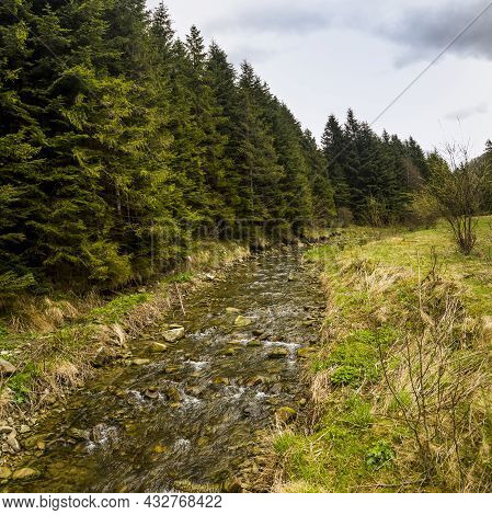 Kamianka River At The Carpathian Mountains