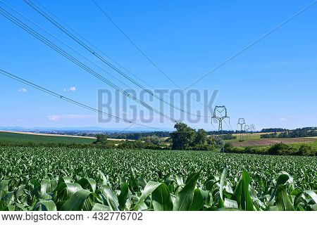 View Of Corn Field And High Voltage Poles With Electric Wires In Agricultural Landscape In South Mor