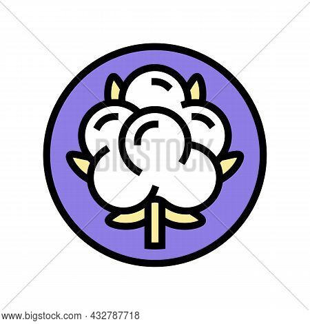 Cotton Clothing Washing Color Icon Vector. Cotton Clothing Washing Sign. Isolated Symbol Illustratio