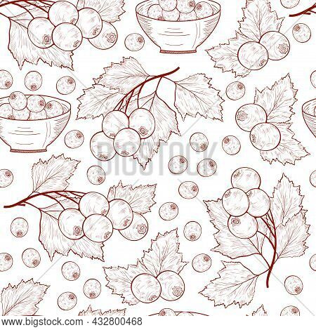 Hawthorn. Berries, Leaves. Background, Wallpaper. Seamless. Sket