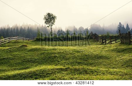 niebla paisaje de montaña mañana