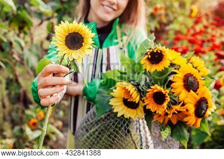 Woman Gardener Holding Bouquet Of Yellow Lime Lemony Sunflowers With Dark Center In Summer Garden. C