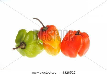 혼합된 Habaneros