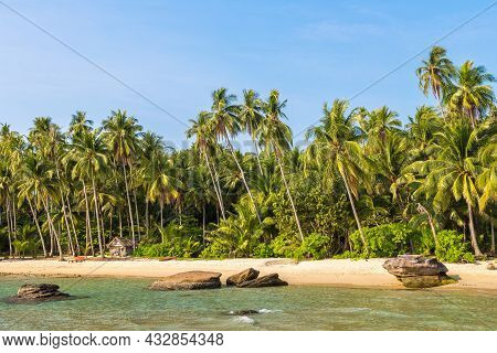 Beautful Tropical Beach In A Sunny Day
