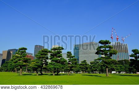 Imperial Palace East Garden Of Tokyo, Japan
