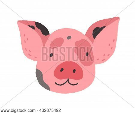 Face Of Cute Baby Mini Pig. Funny Happy Piglets Head Portrait. Adorable Piggy Snout. Amusing Farm An