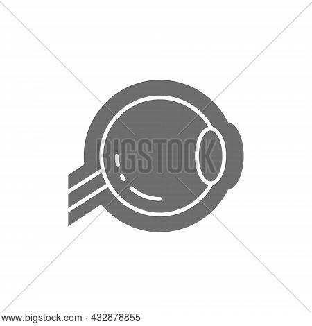 Eyeball, Optic Nerve Grey Icon. Isolated On White Background