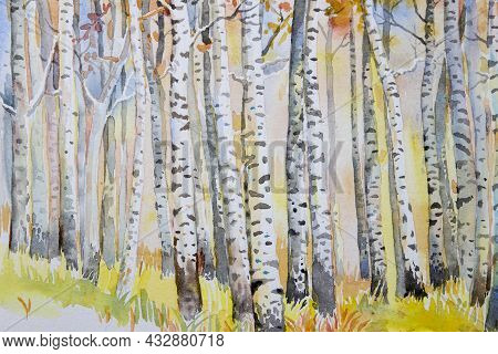 Watercolor Painting Colorful Autumn Trees. Semi Abstract Image Of Forest, Aspen Trees With Yellow - 